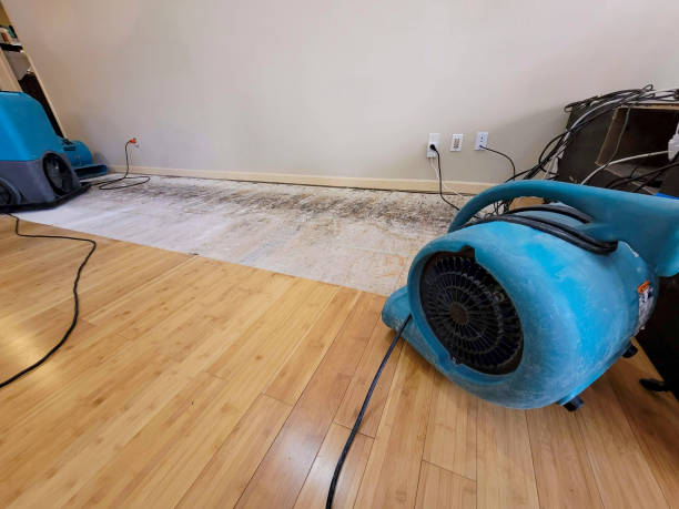 Professional Emergency Water Damage technician working in Wellsburg, WV